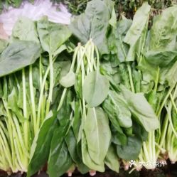 探訪大洋路農副產品市場 這里的菠菜究竟好不好吃？