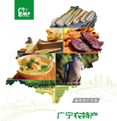 品牌化 廣寧農特產品走向廣闊市場的金鑰匙